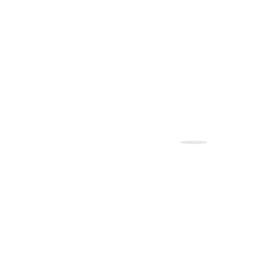 OBSSION